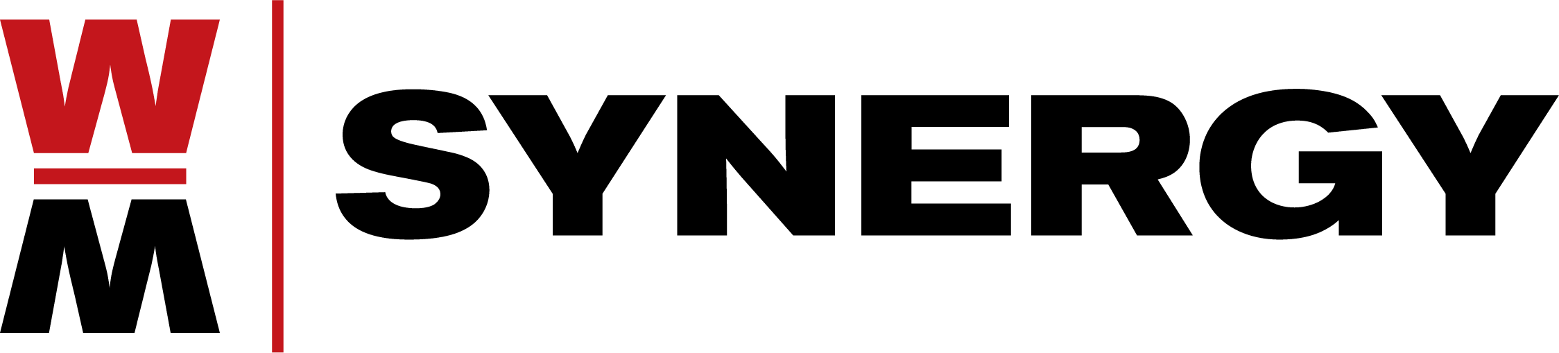 WM Synergy_Logo