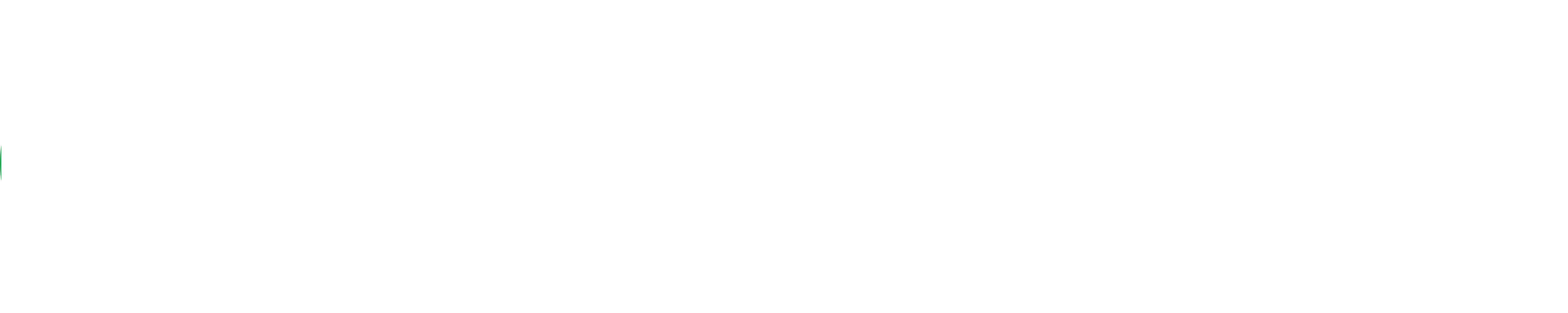 White Standard Logo Large.png?noresize
